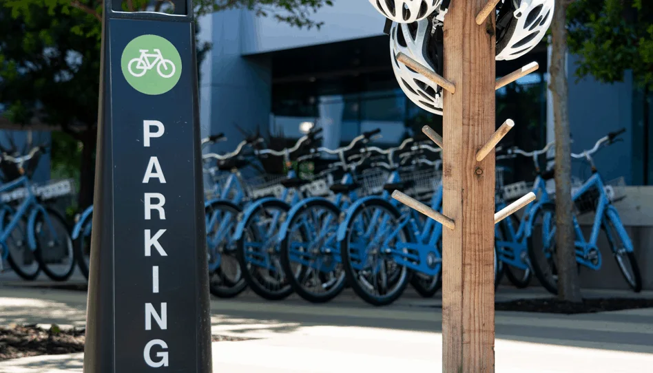 Bicycles organized for bike valet service
